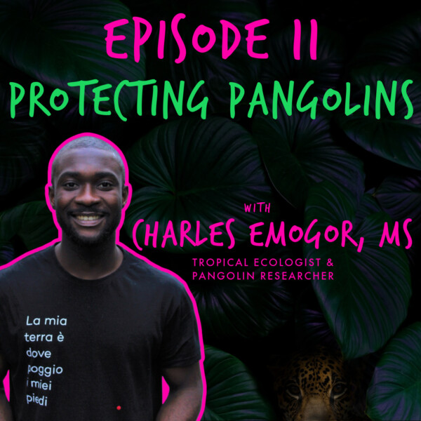 Gone Wild Show Podcast - EP. 11 'PROTECTING PANGOLINS' with CHARLES EMOGOR
